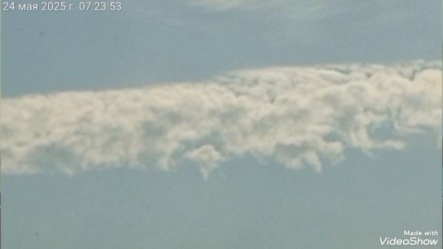 Мариуполь ⚓ МОИ ЛЮБИМКИ 🐈🐈🐈🥰 смотреть онлайн