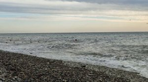 Сочи Лазаревское море🌊