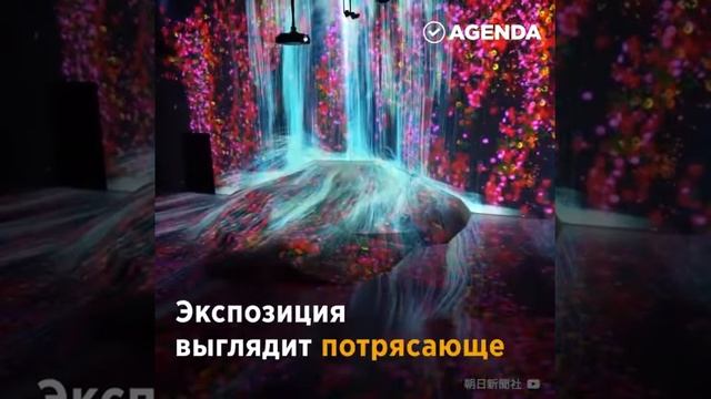 Цифровой мир смотреть онлайн