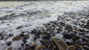 Питание Лазаревское Сочи цены столовая дёшево