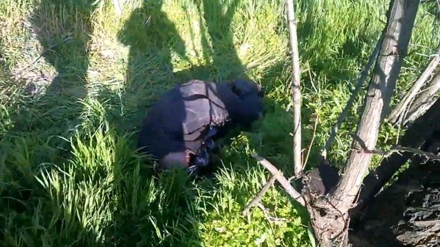 Мегаприкол- угарный бомж