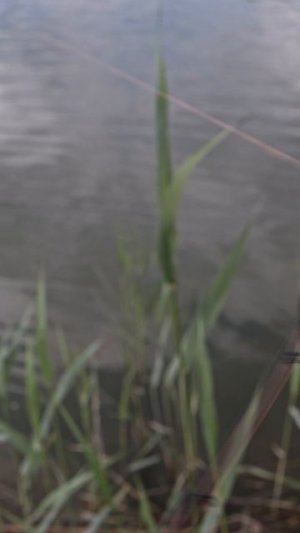 Карась на фидер 💪💪💪