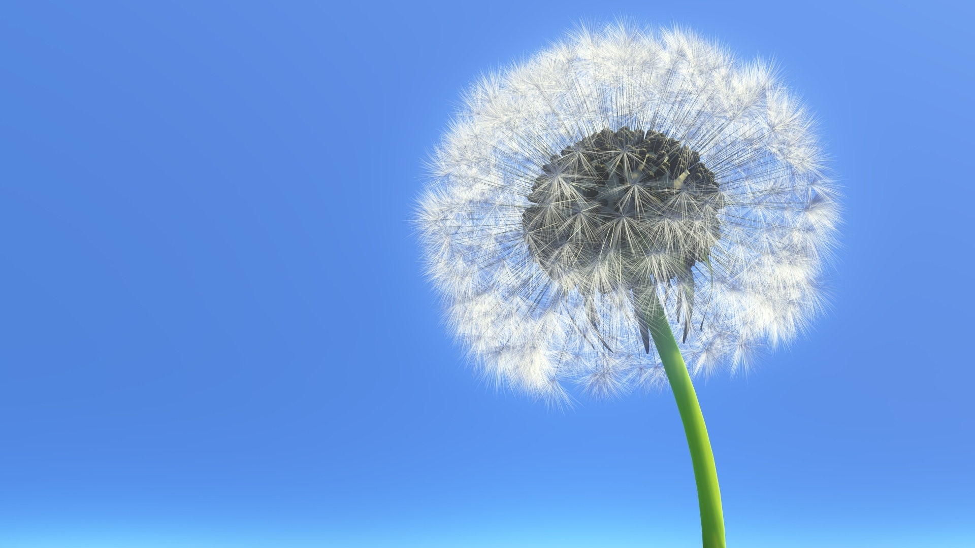 Солнечный одуванчик (песня под гитару) смотреть онлайн