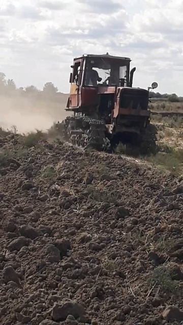 ВСПАШКА ЗЕМЛИ ТРАКТОРОМ ДТ 75