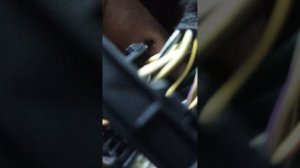 Задние динамики форд фокус 2