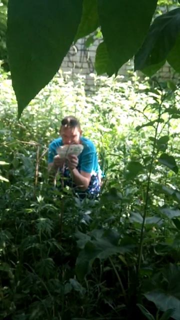 Зуй срёт смотреть онлайн