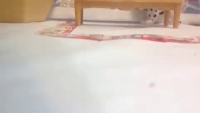 1 сезон 4 серия сериал Горничная