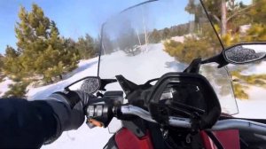 Продубас на снегоходе BRP 900 ACE