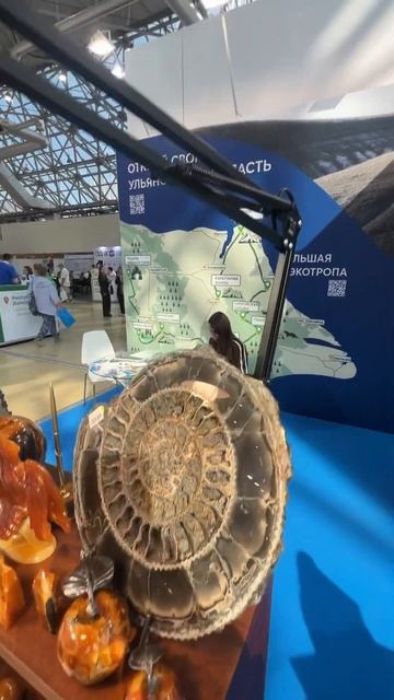 ОТДЫХ Leisure 2024 Международная выставка по туризму смотреть онлайн