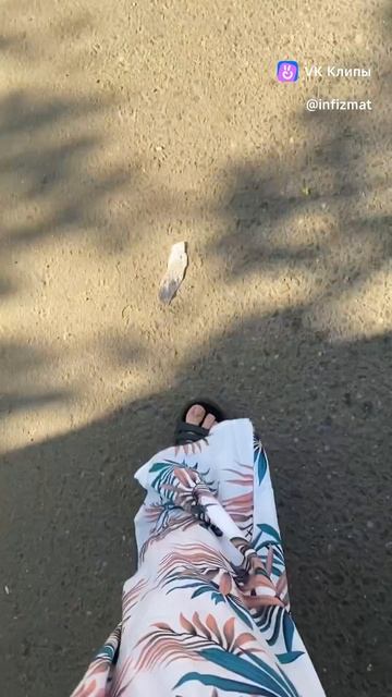 Жизнь учителя хомячья - тащить все полезное в нору))) смотреть онлайн