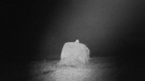 Лиса, 100 метров