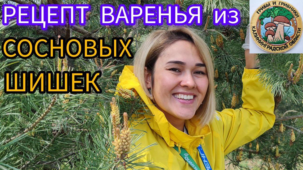 пошаговый рецепт ВАРЕНЬЯ ИЗ СОСНОВЫХ ШИШЕК. Советы грибников. Дары природы смотреть онлайн