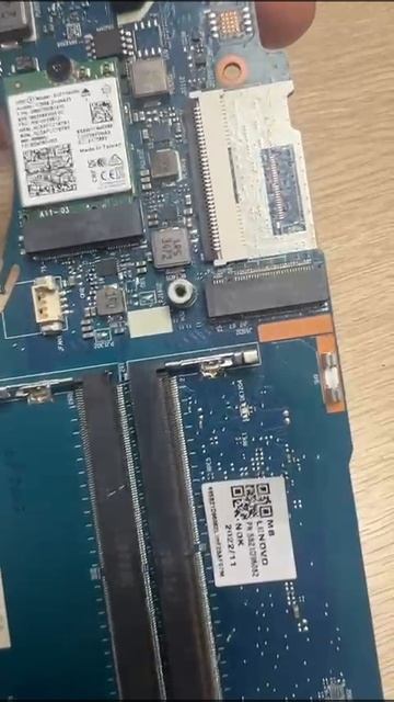 1000060204.mp4 смотреть онлайн