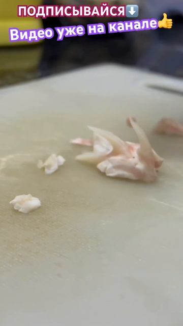 #прикол #шриланка #акулы #зубыакулы #клык #акулийзуб #пираты #shorts