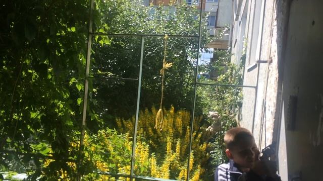 Пранк в домофоне смотреть онлайн