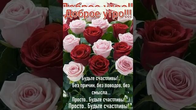 С добрым утром друзья!Всем отличного настроения! смотреть онлайн