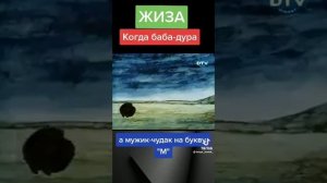 глупая ты баба прикол
