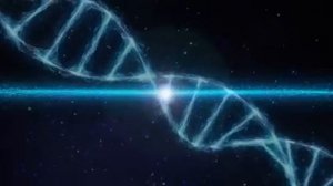 24-05-2025  Матрица Гаряева. Полное исцеление всего тела.