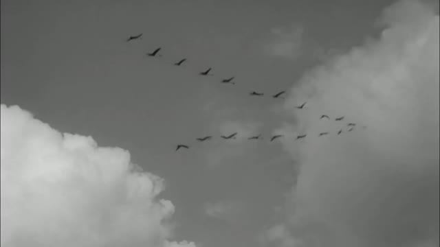 Ожидание смотреть онлайн