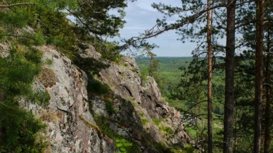 Хийденсельга гора Хийденвуори находится в Питкярантском районе Карелии. Высота 111-117 м.