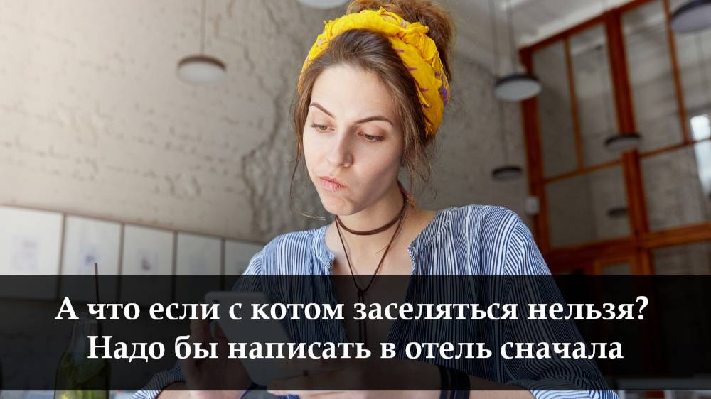 Как связаться с арендодателем на Суточно ру смотреть онлайн