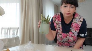 Супер средство для укоренения черенков. Какая-то мистика. Посадки продолжаются. Жизнь в деревне.