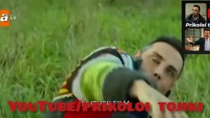 приколи шавкат