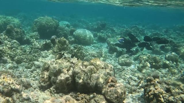 Закат на Мальдивах. Обзор туриста смотреть онлайн