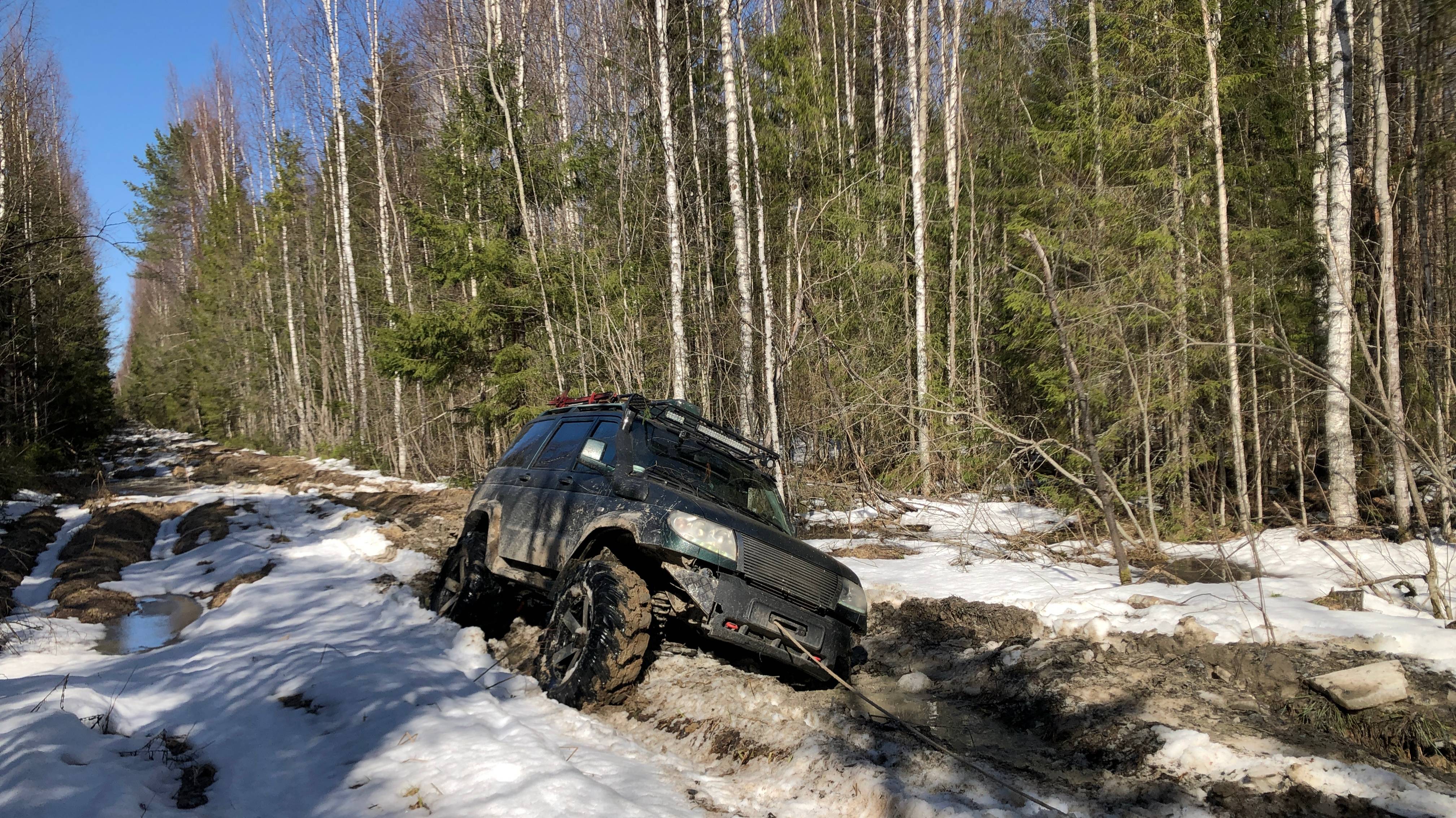 Один с УАЗ Патриот в весенней тайге. Проснулся на тетеревином току.
