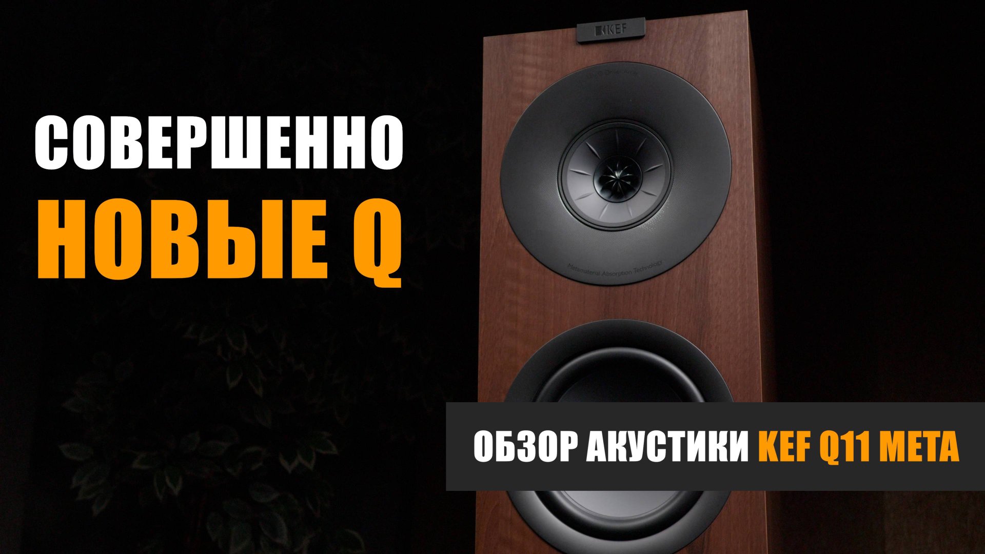 Совершенно новые Q. Обзор акустики KEF Q11 META