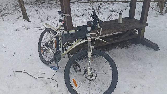 Просто лес! Зима. Велосипед.