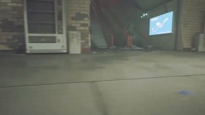 Все воспоминания в Stray