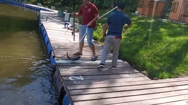 24.05.25 г. РК Волна смотреть онлайн