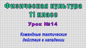 Физическая культура 11 класс (Урок№14 - Командные тактические действия в нападении.)