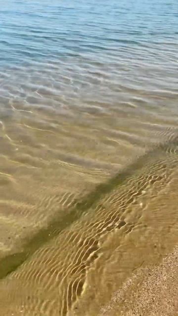 Каспийское море пляж Избербаш #dagestan #дагестан #travel #при смотреть онлайн