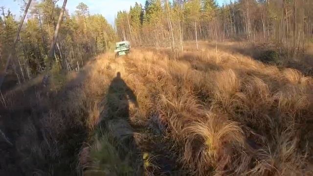 Болотоход Хома