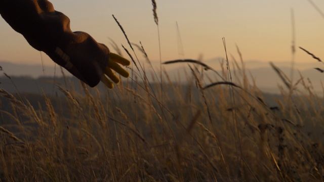 AdobeStock_391146433