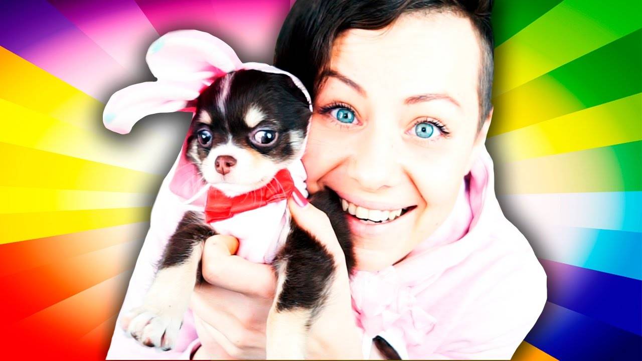 Наш новый пушистый друг — знакомство с щенком 🐾🎉 смотреть онлайн