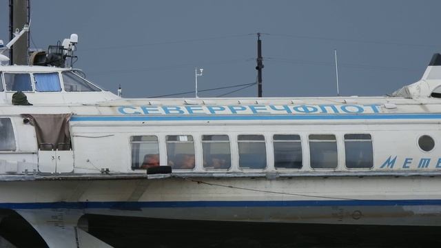 На берегу 22.05.2025
