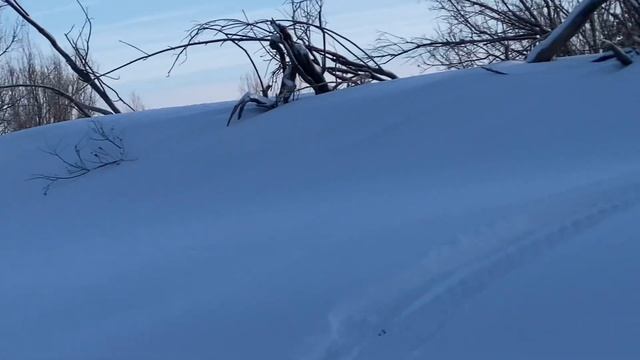 Лайтпокатушка) 7.1.25. #polaris #klim #сургут