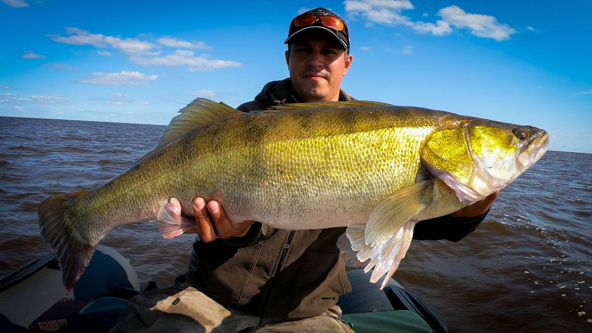 Карелия 2024. Ловля трофейного судака и щуки . рыбалка с Panoptix livescole