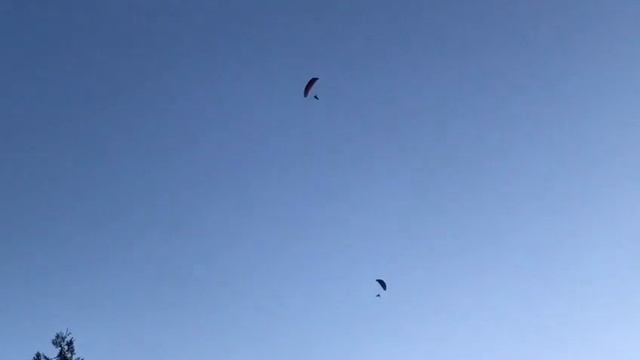 Почему люди не летают как....3 октября 2023 г.