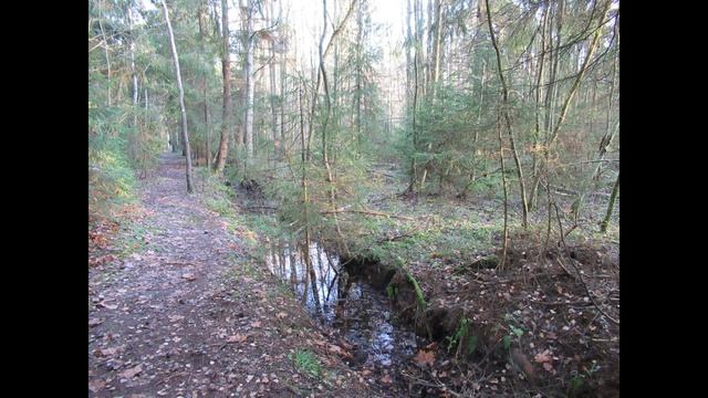 Левашовский ООПТ