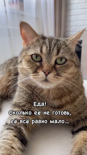 Женщин бесить три вещи : смотреть онлайн