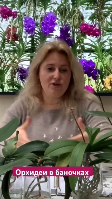 СТОИТ ЛИ СМОТРЕТЬ АЗИАТСКИЕ КАНАЛЫ ПРО ОРХИДЕИ? (Полно смотреть онлайн