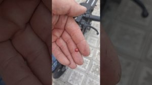 ремонт сигнал электровелосипеда