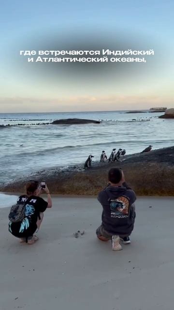 Как познакомиться с 4 странами Африки за 10 дней? Подробности в описании и нашем Inst: @team_trip_r смотреть онлайн