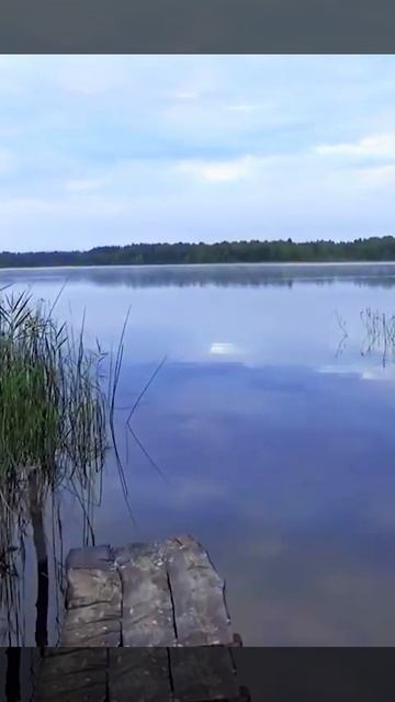 Утром-в озеро,вечером-в озеро.Где отдохнуть дикарём на