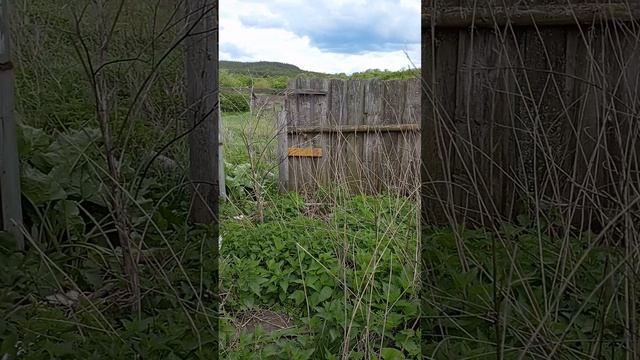 VID_20250520_144708.mp4 смотреть онлайн