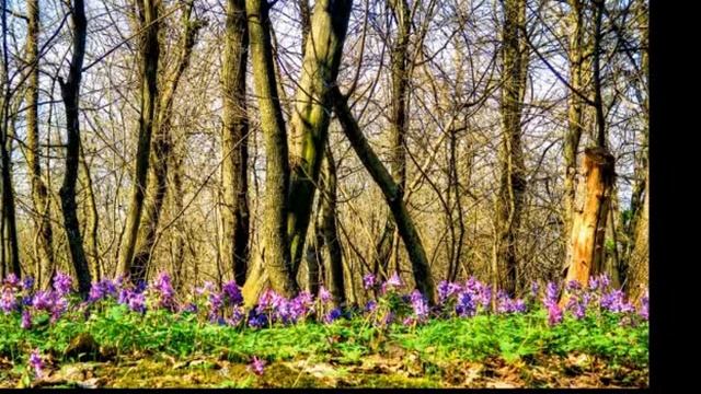 ВРЕМЕНА ГОДА АПРЕЛЬ смотреть онлайн